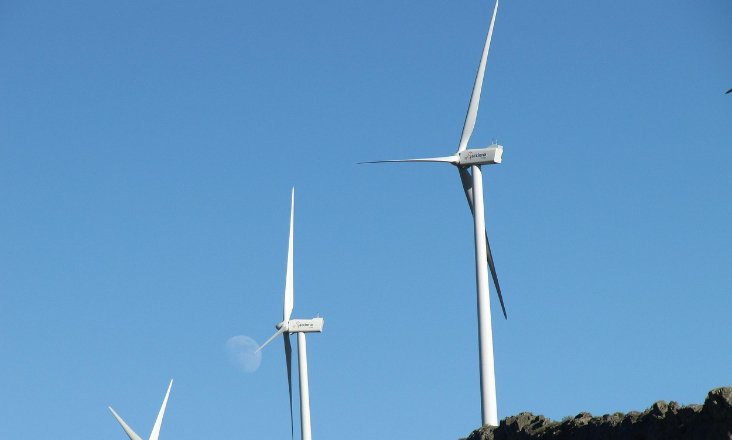 UE define novas regras para leilões de energias renováveis com critérios ambientais e de segurança