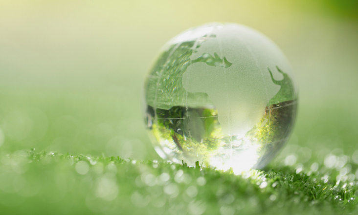 Associação Portuguesa de Bioindústria é membro fundador da Aliança Europeia de Clusters de Bioeconomia 