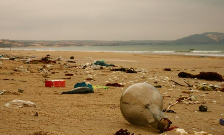 Águas europeias: Portugal participa em projeto que avalia a toxicidade de contaminantes 