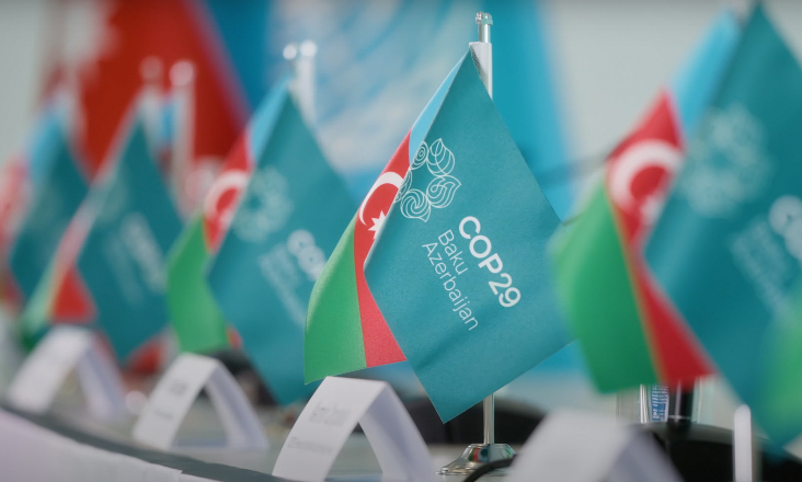 COP29: eurodeputada Lídia Pereira lidera delegação do Parlamento Europeu 