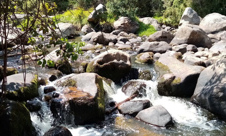 Fundo Ambiental atribui 1,5 milhões de euros para Aviso Educação Ambiental + Sustentável 2023