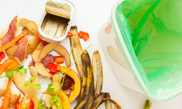 Vouzela lança projeto de recolha porta-a-porta de biorresíduos alimentares