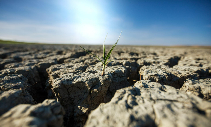Ano de 2024 foi o mais quente de sempre e ultrapassou barreira dos 1,5ºC
