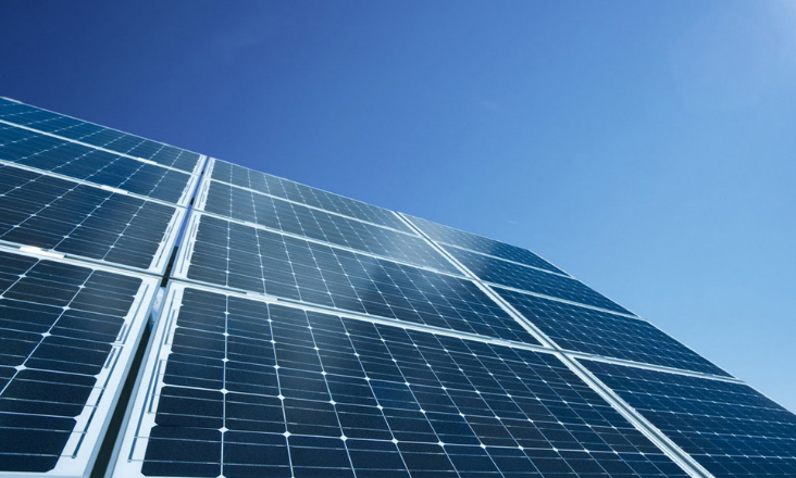 Sintra é palco do lançamento de novo parque fotovoltaico