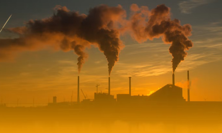 COP29: mundo deve ter como objetivo atingir a neutralidade carbónica na próxima década 