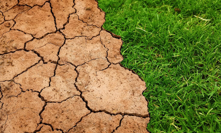 Tribunal Europeu dos Direitos Humanos rejeita queixa contra Portugal por inação contra as alterações climáticas