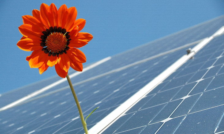 ZERO contesta construção de central solar em Ferreira do Alentejo