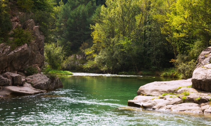 Portugal continua atrás da Europa na remoção de barreiras fluviais, alerta WWF