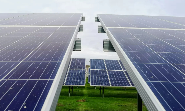 Biocant Park e SES Energia lançam comunidade de energia renovável em Cantanhede