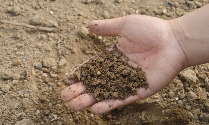 Uso de fertilizantes na agricultura da União Europeia cai 10% em 2022