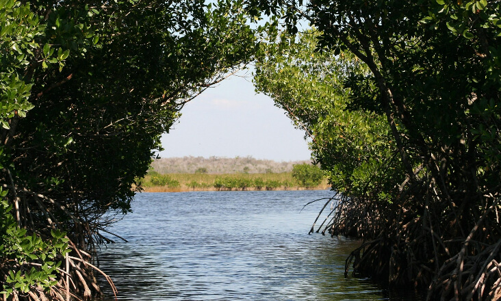 ZERO defende inventário nacional das Zonas húmidas