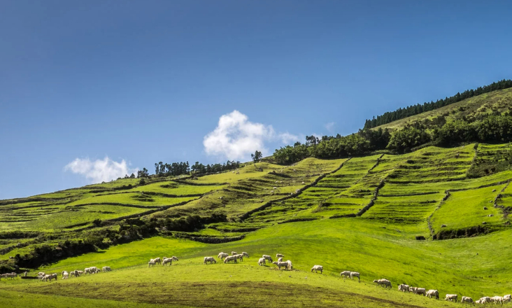 Açores investem 33 milhões no Ambiente em 2025