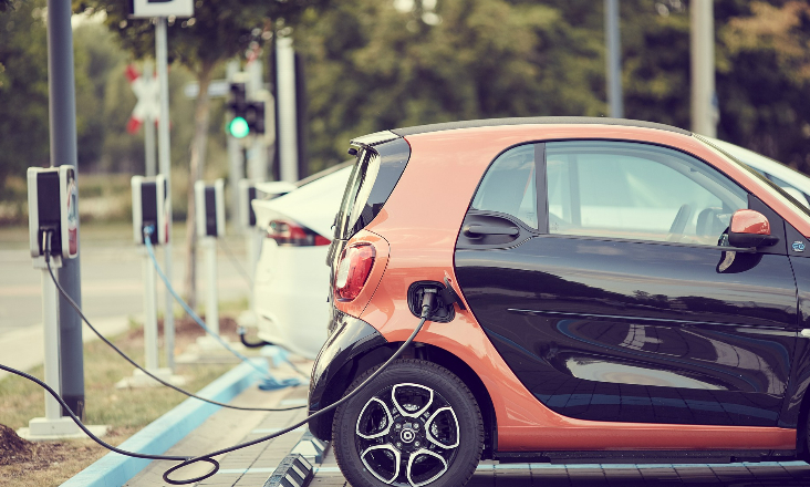 PS recomenda ao Governo que simplifique o regime da mobilidade elétrica 