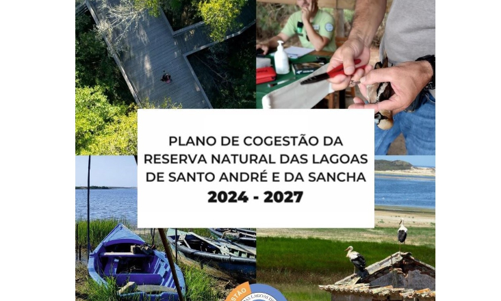 Aprovado Plano de Cogestão para Reserva Natural das Lagoas de Santo André e da Sancha