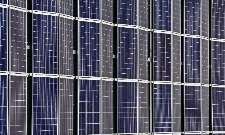 Multinacional inicia construção de central fotovoltaica em Coimbra com capacidade para abastecer 21 mil casas