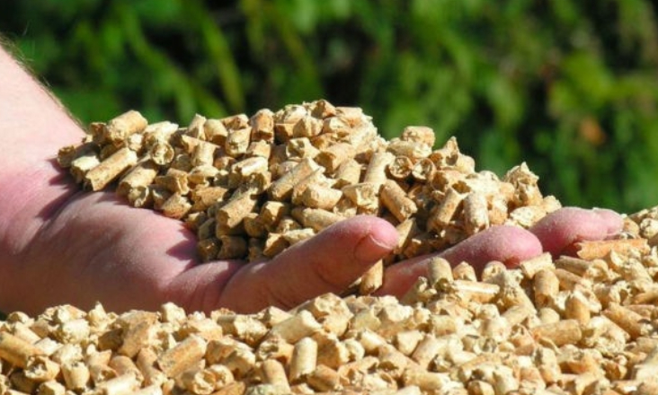 ZERO pede eliminação gradual de fábricas de pellets de grande escala em Portugal