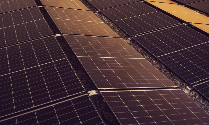 Nobre Alimentação obtém autorização para instalar central solar em solo agrícola na região de Rio Maior
