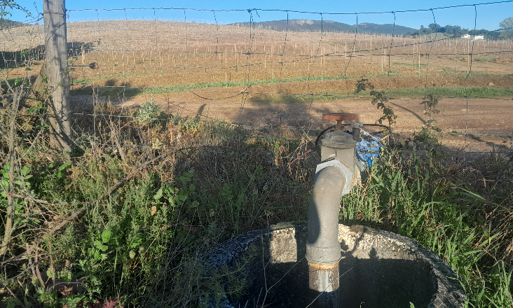 Quercus denuncia sistema agrícola intensivo em pleno Parque Natural da Serra de São Mamede
