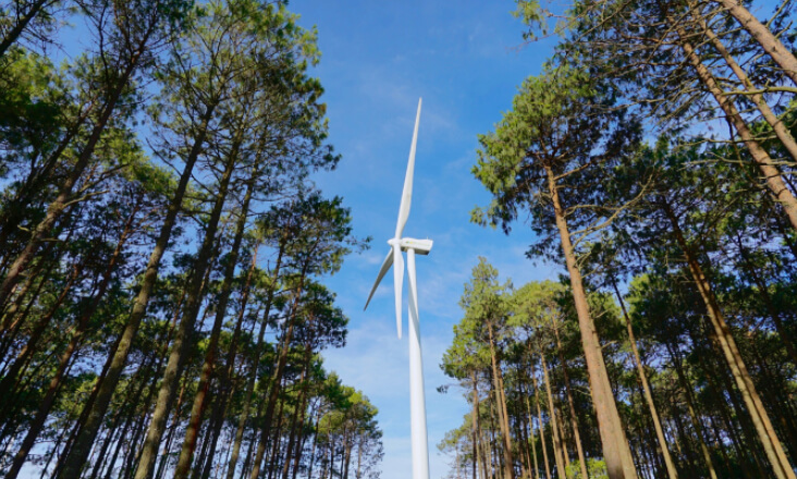 Amazon e Iberdrola assinam primeiro acordo de PPA em Portugal para o maior parque eólico do país