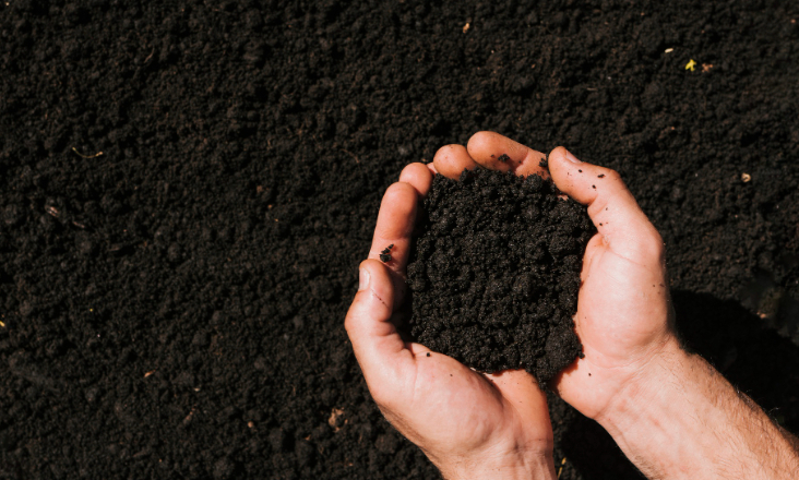 Utilização de fertilizantes minerais na UE continua a diminuir