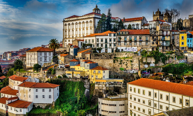 Câmara do Porto suspeita que foram injetados pesticidas em 19 árvores classificadas
