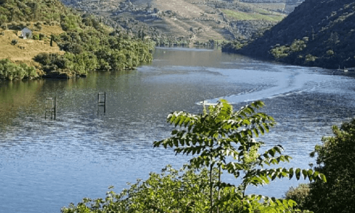 Fundo Ambiental apresenta em 2022 o maior orçamento de sempre com 1125 milhões de euros