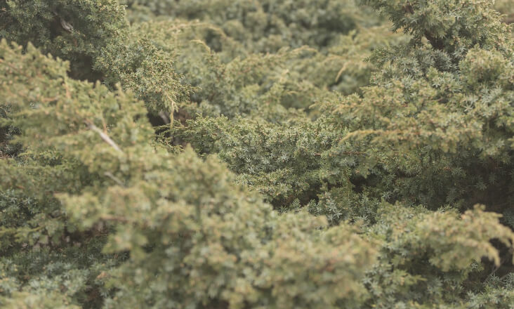 Governo assegura a municípios que vai facilitar processo do concurso a fundos europeus na área do ambiente
