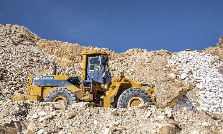 Exploração de mina de lítio de Montalegre comprometida por alcateia de lobos-ibéricos