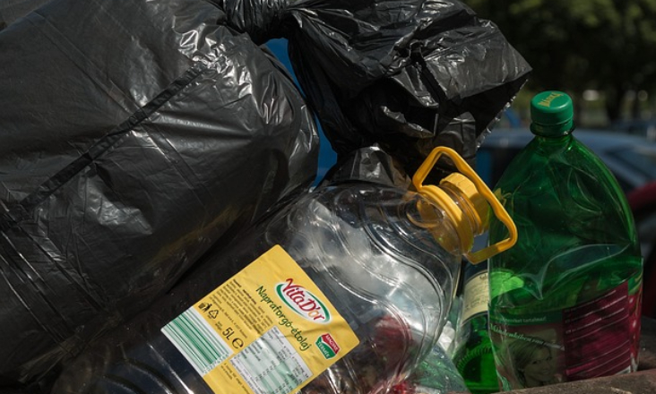 Dia Mundial do Ambiente: ZERO defende mudança profunda no modelo de consumo para combater poluição por plásticos