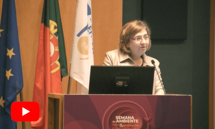 Secretária de Estado da Energia destaca importância do aumento armazenamento em hidroelétricas reversíveis e baterias para gerir a intermitência das renováveis 