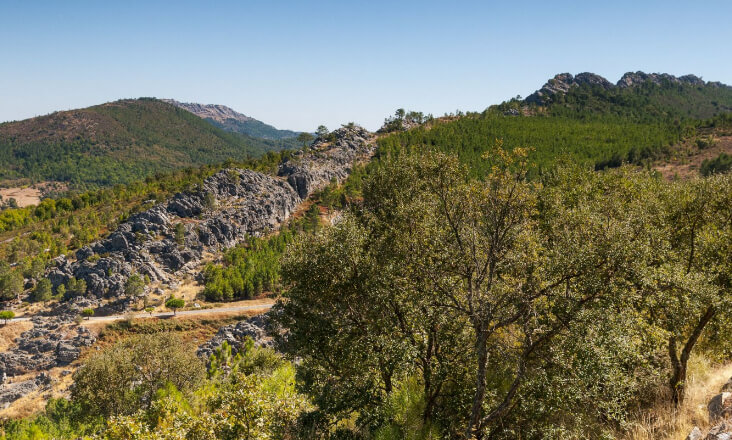 ICNF tem novos Diretores Regionais para as regiões Norte, Centro Lisboa e Vale do Tejo e Algarve