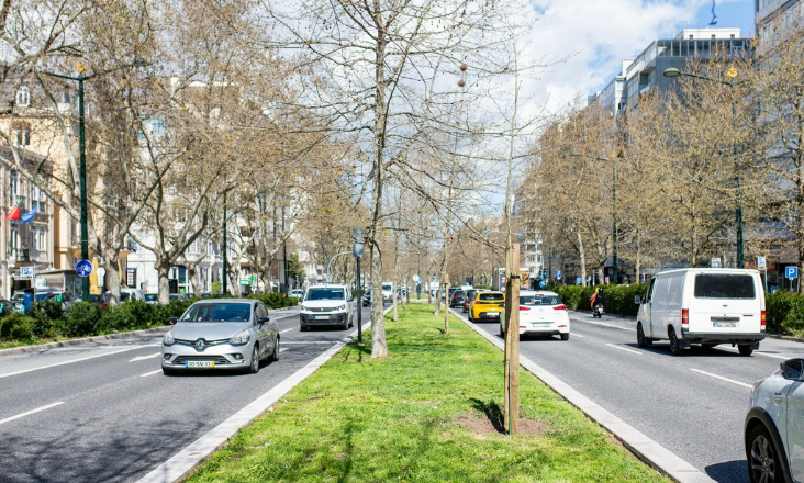 Lisboa aprova atualização do mapa estratégico de ruído 