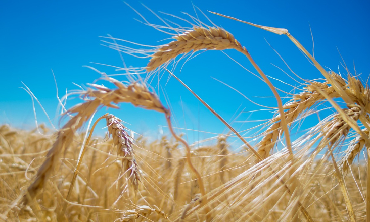 Plano hídrico do Alentejo chega tarde e não faz escolhas necessáriam critica Bloco de Esquerda