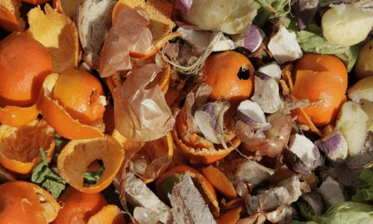 Évora tem nova unidade para transformar biorresíduos em composto para agricultura