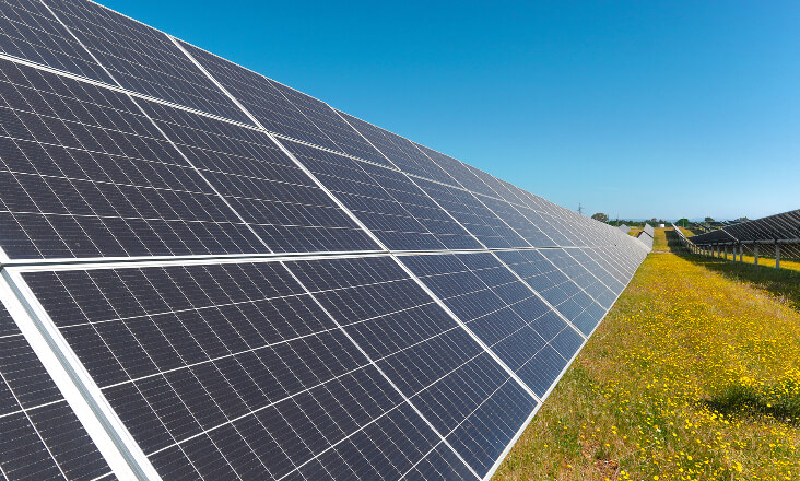 Vila Nova de Famalicão vai ter uma central solar fotovoltaica de 49 MW 