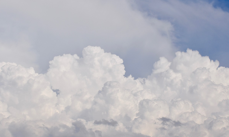 Conselho Português para a Saúde e Ambiente vai criar observatório para monitorizar impacto das alterações climáticas na saúde