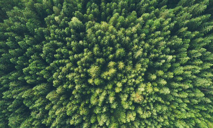 Portugal gastou mais de 3,3 mil milhões de euros em proteção do ambiente em 2020