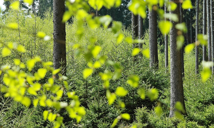 GEOTA, LPN, Quercus, e ZERO enviam carta ao Governo em defesa do Pacto Ecológico Europeu