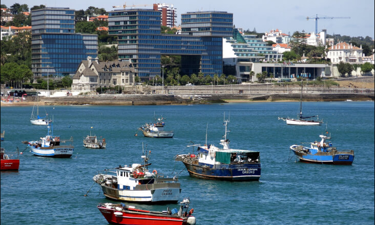 Cascais vai ter posto de produção e abastecimento de veículos movidos a hidrogénio