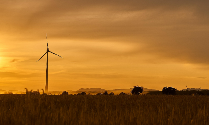 Renováveis crescem em todo o mundo em 2024 - relatório IRENA