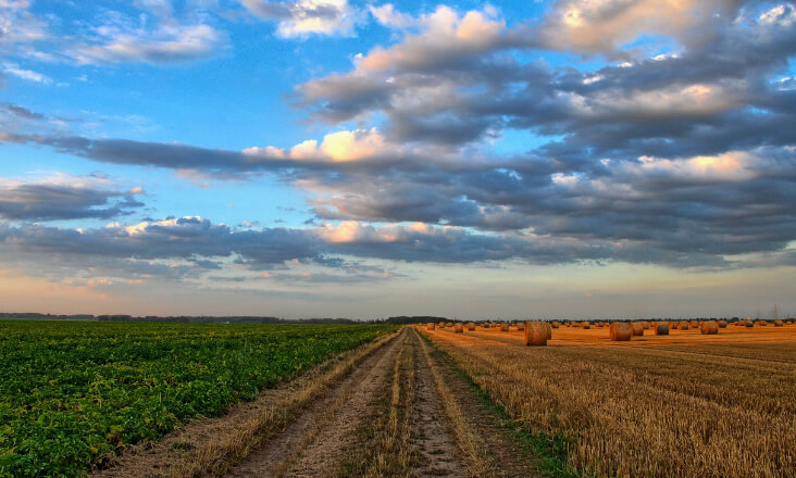 Governo anuncia pacote de apoio aos agricultores no valor de quase 500 milhões de euros