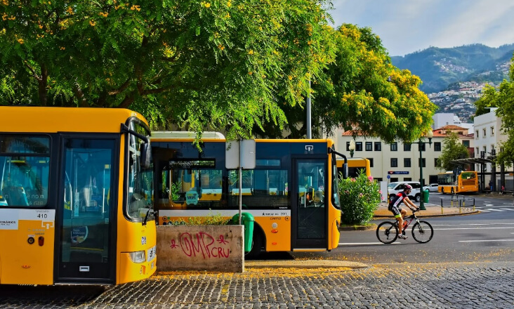 Emissões dos transportes continuam a ameaçar metas climáticas, avisa a Zero