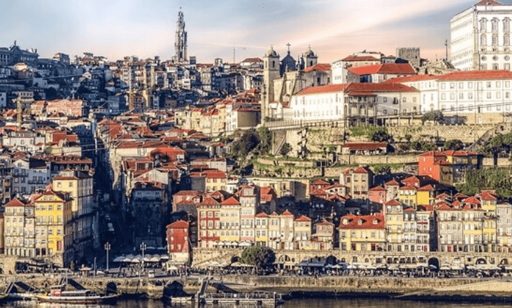 Câmara do Porto acusa Infraestuturas de Portugal de abater árvores sem informar município