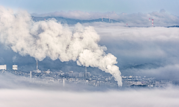 Aprovada proposta para implementação de um mercado voluntário de carbono de âmbito nacional