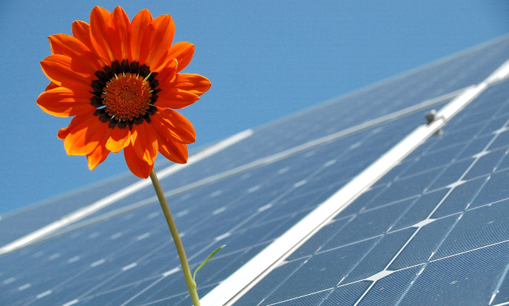 Grupo cívico contra central solar em Santiago do Cacém e ameaça recorrer a tribunal