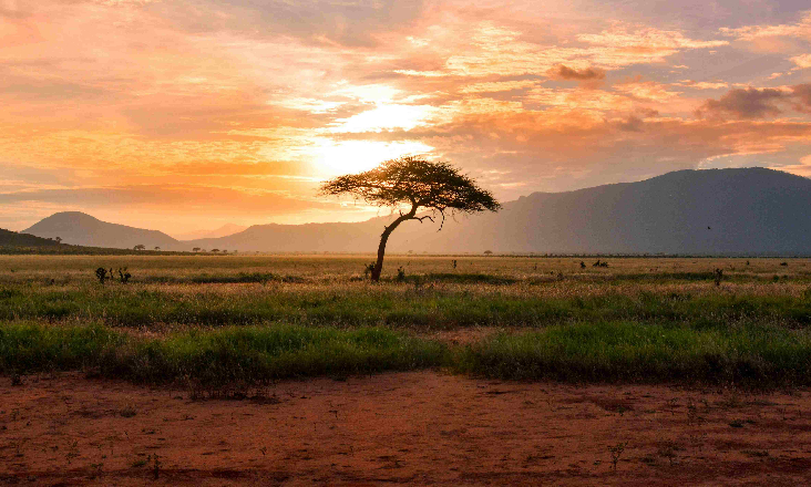 Renováveis: EDP abre candidaturas para apoiar projetos em África e Brasil 