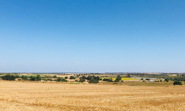 Alentejo lança estratégia de adaptação às alterações climáticas