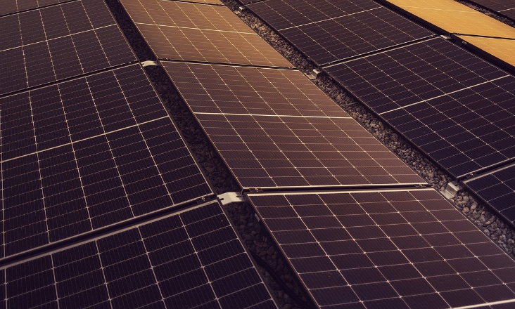 Moradores do Foral (Silves) contra construção de central solar fotovoltaica