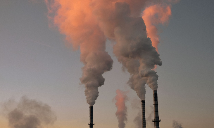 Publicado em Diário da República diploma que estabelece regras do mercado voluntário de carbono