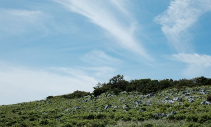NOVA FCSH participa em projeto europeu para reforçar resposta às alterações climáticas